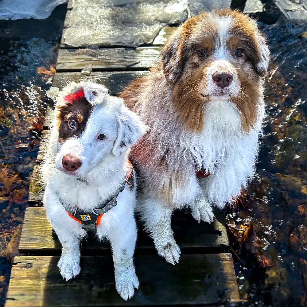 Remi and Morse Remi and Morse